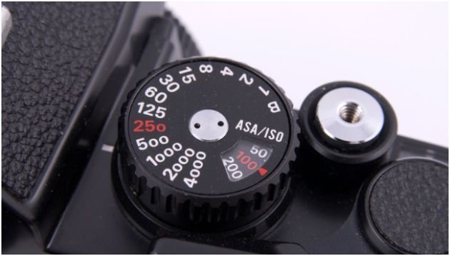 Shutter Speed: The Setting That Controls Motion
