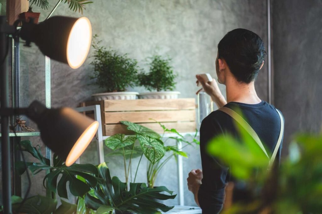 How to Photograph Indoor Plants With Natural Light