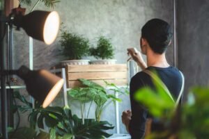 How to Photograph Indoor Plants With Natural Light